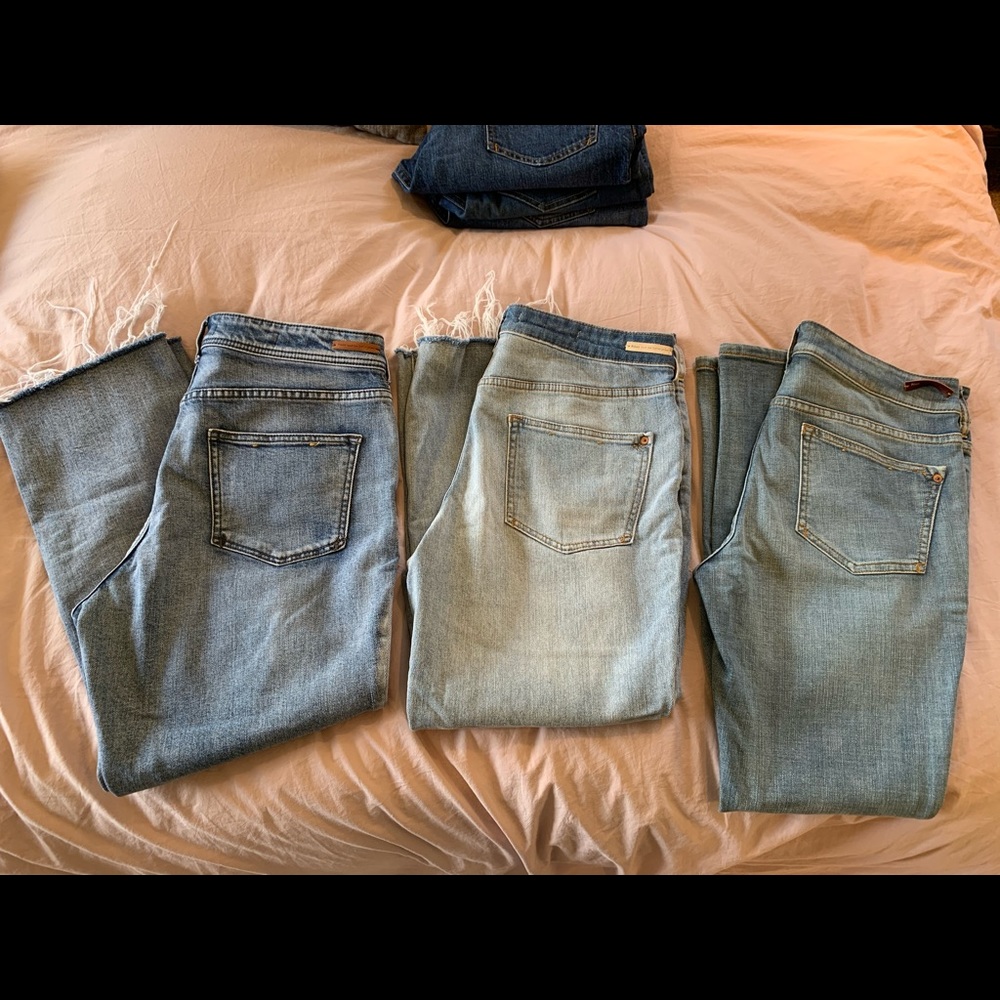 Anthropology Pilcro Jeans Bundle 11